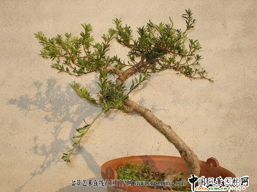 1���x��һ�����������Ԫ��ɽ�Ϙ����_