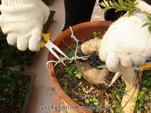 �Dʾ�_�h���辰����ȫ�^��(�M�D)