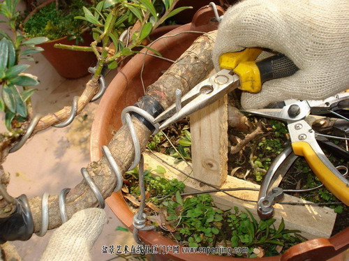 �Dʾ�_�h���辰����ȫ�^��(�M�D)