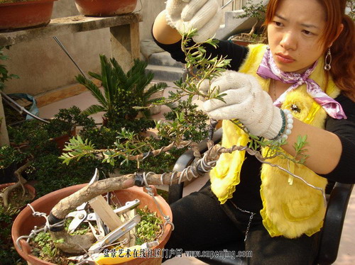 �Dʾ�_�h���辰����ȫ�^(gu��)��(�M�D)