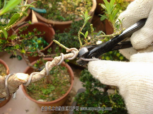 �Dʾ�_�h���辰����ȫ�^��(�M�D)