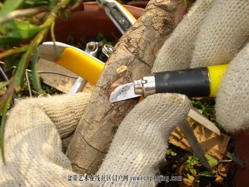 �Dʾ�_�h���辰����ȫ�^��(�M�D)