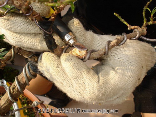 �Dʾ�_�h���辰����ȫ�^��(�M�D)