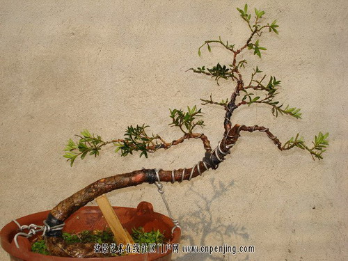 �Dʾ�_�h���辰����ȫ�^��(�M�D)