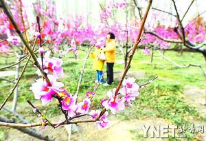 һ�º���ʒɪ�����Ǻ��F�һ���(�D)