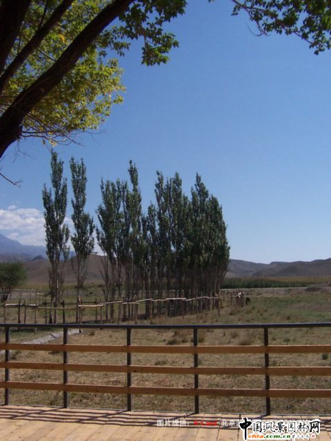 �½���ɽҰ������@