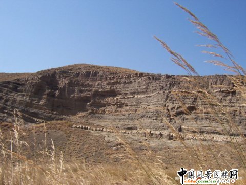 �½���ɽҰ������@