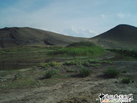 �½���ɽҰ������@