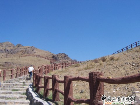 �½���ɽҰ������@