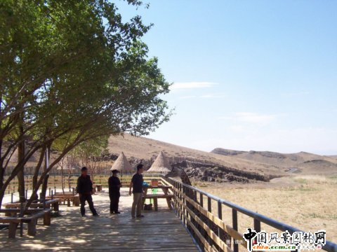 �½���ɽҰ������@