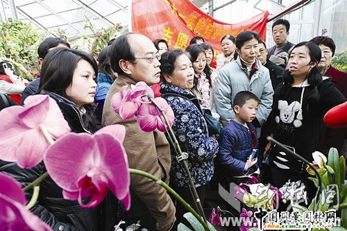 ��hֲ��@�����M(f��i)�p����(hu��)��һ��һ����ů�c��(z��i)��