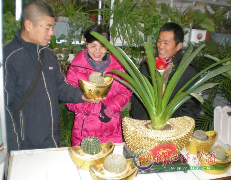 ��Ԫ������