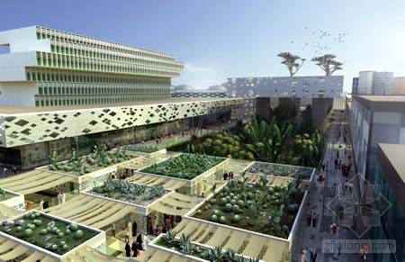 ������Al-Rai���w�OӋӋ�����p(�M�D)