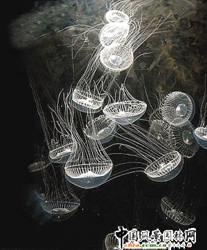 ȫ��׃ů�������Rĩ��ʽ���y ʮ���������(�D)