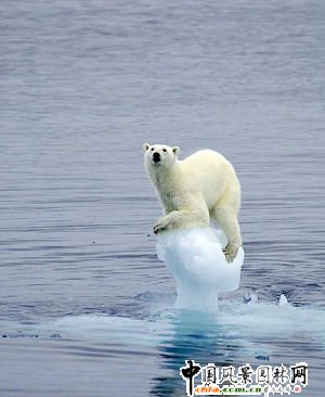 ȫ��׃ů�������Rĩ��ʽ���y ʮ���������(�D)