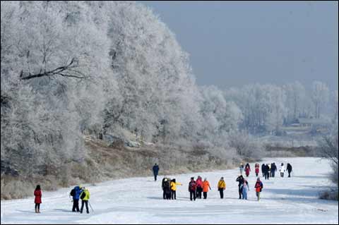 �ο͂����^�Fڡ����