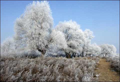 �Fڡ�u���������Fڡ���^