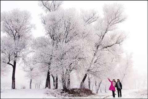 ��䭂���������Fڡ