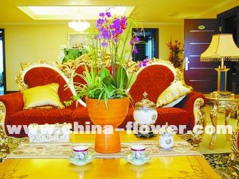 ���촺�ⰻȻ�������Ҿ�(�M�D)