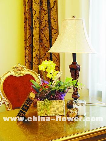 ���촺�ⰻȻ�������Ҿ�(�M�D)