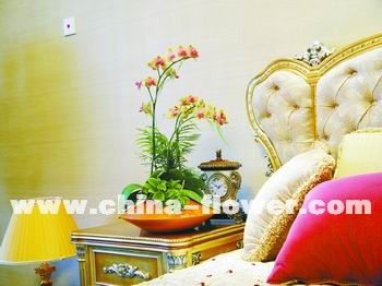 ���촺�ⰻȻ�������Ҿ�(�M�D)