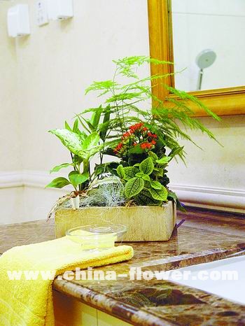 ���촺�ⰻȻ�������Ҿ�(�M�D)