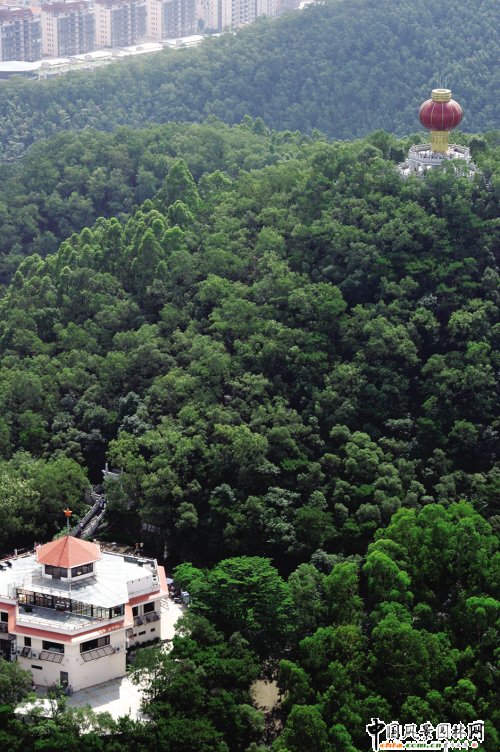 �|ݸ���S��ɽɭ�֌��󡰓Q�N��(�D)