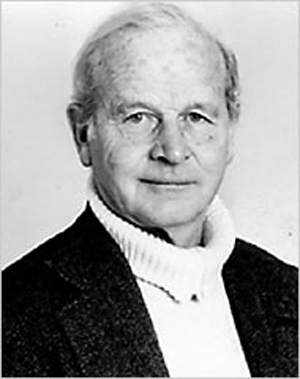 �c�����´��ڞg�[�DƬ