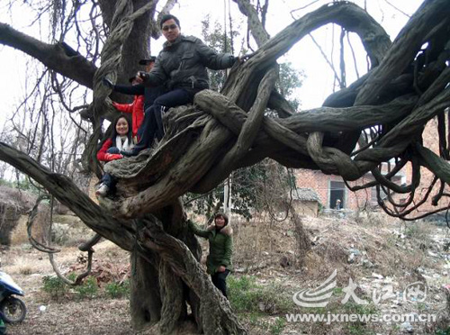 ����l�F��Ҋ����