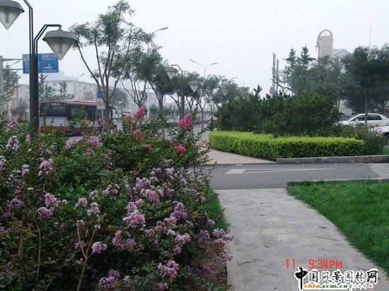 2008�����Ʒ����֮ͨ����־��^����