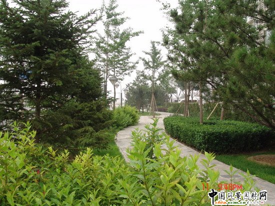 2008�����Ʒ����֮ͨ����־��^����