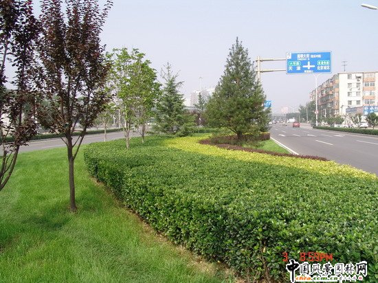 2008�����Ʒ����֮ͨ����־��^����