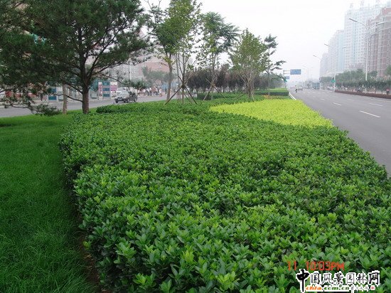 2008�����Ʒ����֮ͨ����־��^����