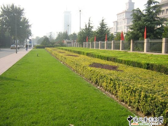 2008�����Ʒ����֮�L���ּ������L���G�ظ���