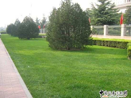 2008�����Ʒ����֮�L���ּ������L���G�ظ���