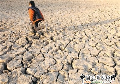 鄭州：西流湖底將“造林”(圖)