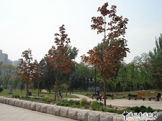 ���A���o(j��)���G������