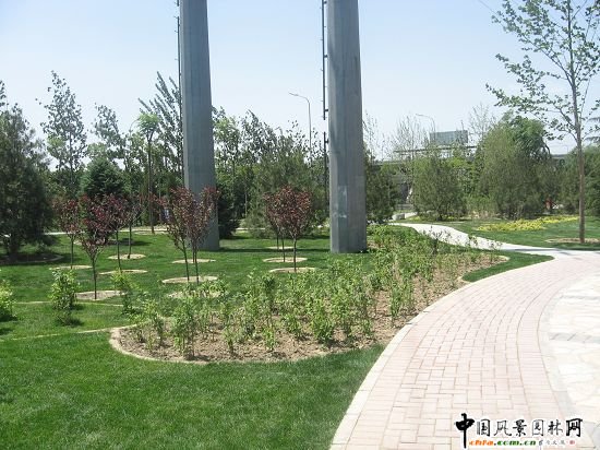 2008�����Ʒ����֮��t�T��|����