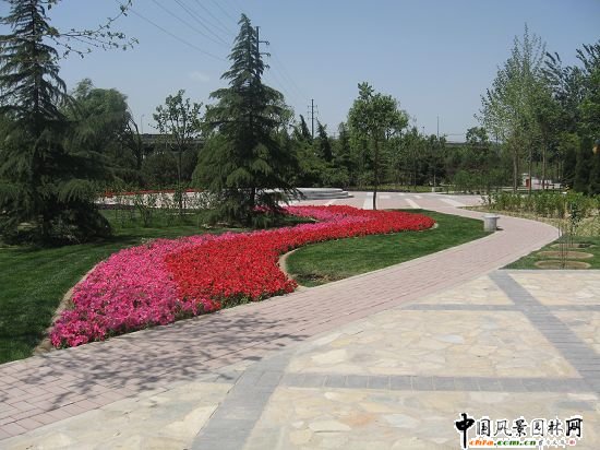 2008�����Ʒ����֮��t�T��|����