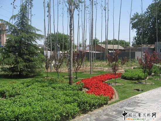 2008�����Ʒ����֮��t�T��|����