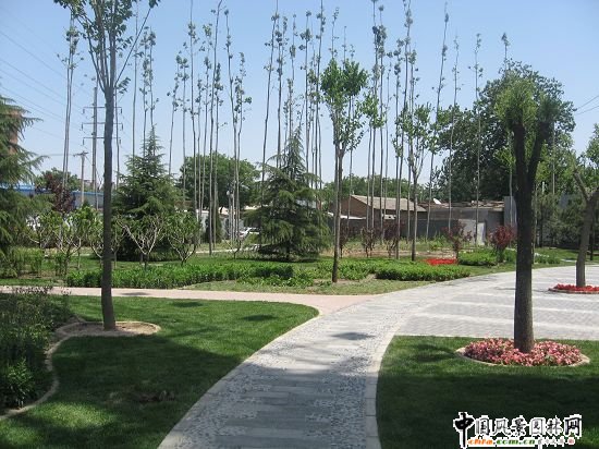 2008�����Ʒ����֮��t�T��|����