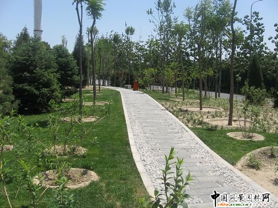 2008�����Ʒ����֮��t�T��|����