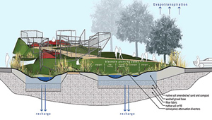 點此在新窗口瀏覽圖片
