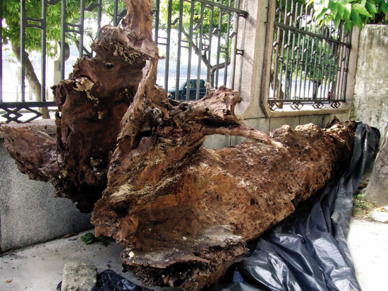 �@�ùŘ������н�ǧ���׵��