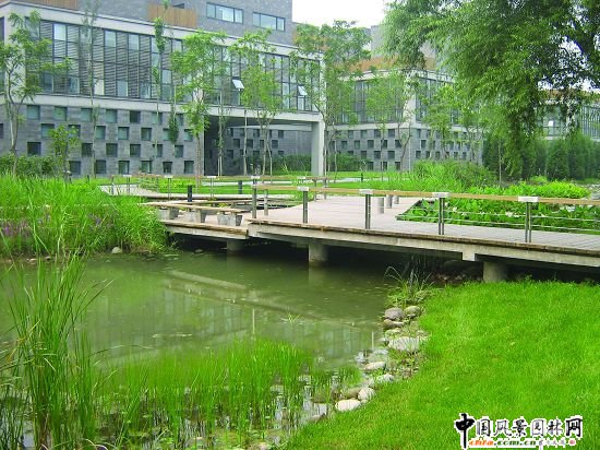 �@��ľ����