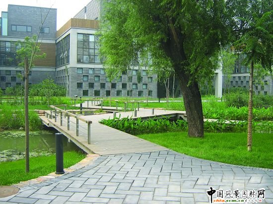 �@��ľ����