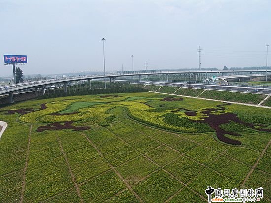 �C����ͨ�����������͈D��