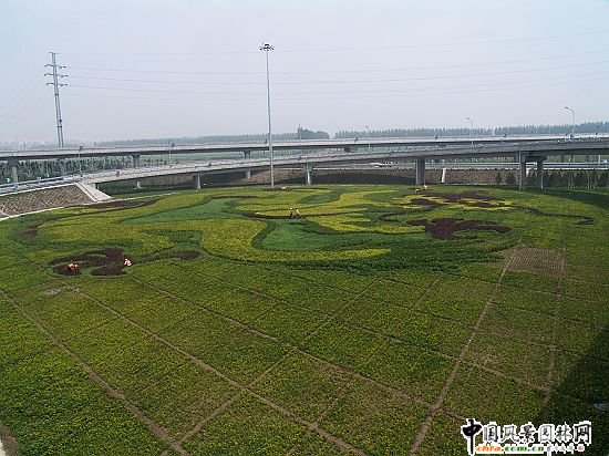 �C����ͨ�����������͈D��