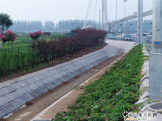 T3��վ�����Mվƽ�_�G�ؾG��