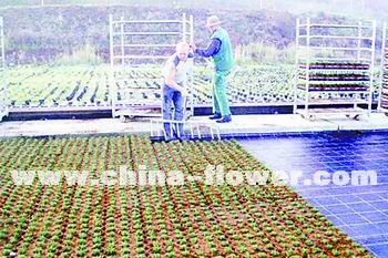 ��(gu��)�H������ͨ���_(t��i)܇��(y��ng)��ʾ��(�M�D)